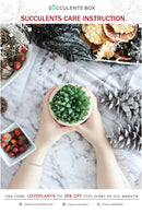 Succulent care card for sale, Succulents care guide, Succulents care instruction, How to care for succulent plants