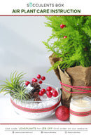 Airplant Care Card for sale, Air Plants Care Guide, How to care for Tillandsia air plants