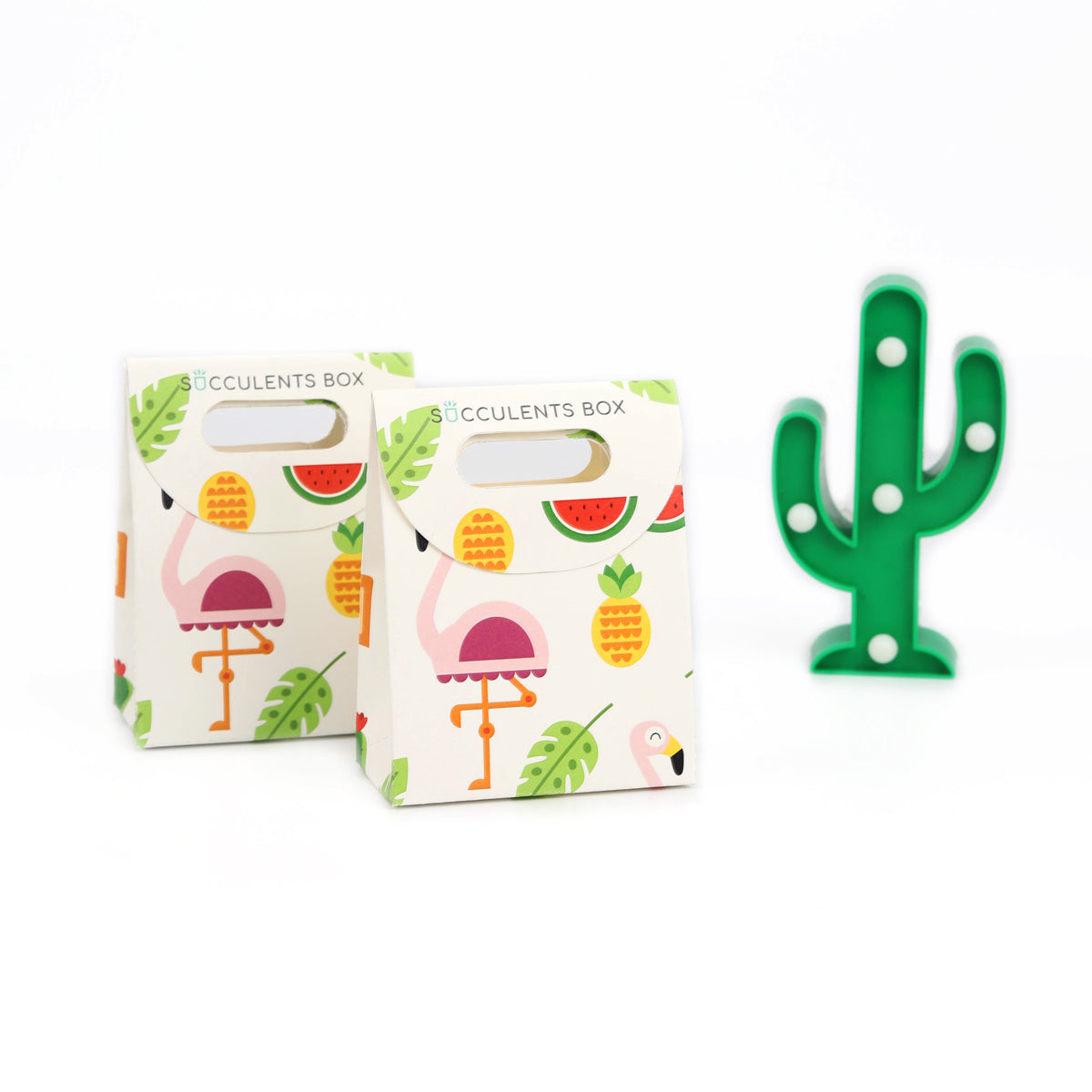 Printable Succulent Summer Gift Bag, summer gift ideas, free printable gift bag, cute succulent gift