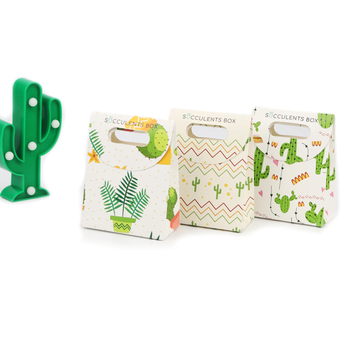 Printable: Succulent Summer Gift Bag