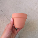 Terracotta succulent clay pot with a drainage hole foe sale, Buy small clay pot for succulent and cactus
