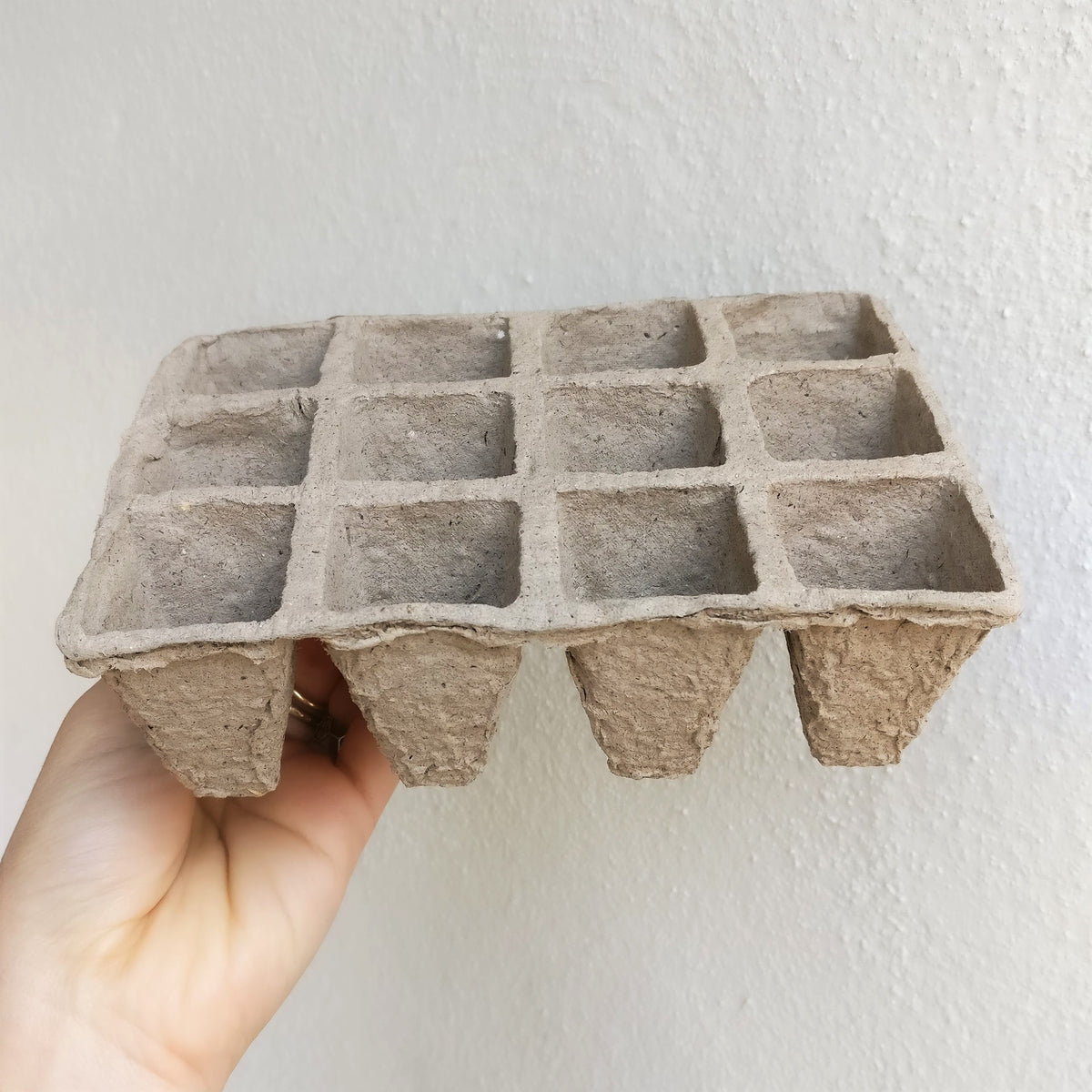 succulent planter, succulent garden, organic biodegradable pots, garden gift, garden shopping