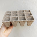 succulent planter, succulent garden, organic biodegradable pots, garden gift, garden shopping