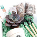 How to use gardening tool kit for growing succulent plants
