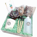 How to use gardening tool kit for growing succulent plants
