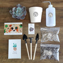 How to use gardening tool kit for growing succulent plants
