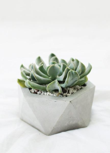 Big Hexagon Concrete Planter