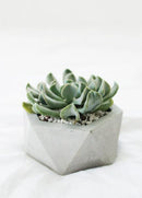 geometrical concrete pot