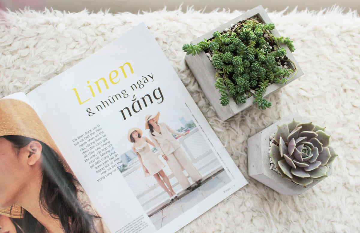 Concrete Pot for succulents