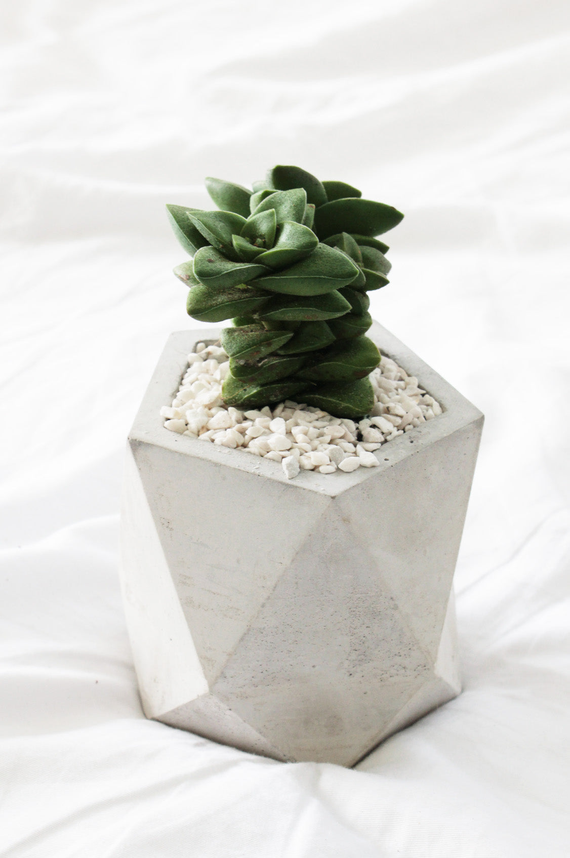 succulent concrete planter Faceted Pentagon Concrete Planter
