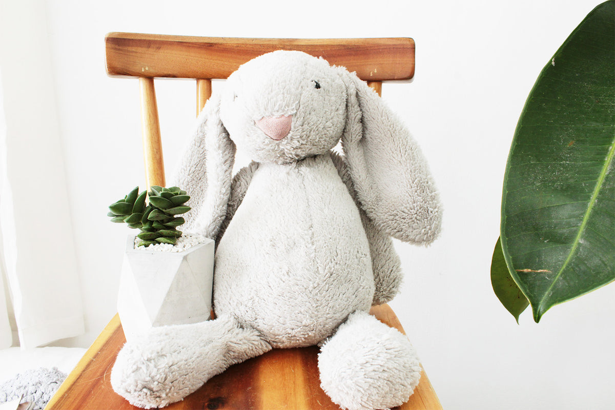 Concrete Pot for succulent