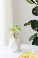 Pentagon Concrete Pot