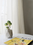 Pentagon Concrete Pot