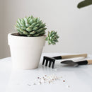 2&#39;&#39; White Clay Pot