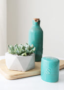 concrete pot for succulents