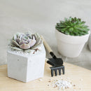 2&#39;&#39; White Clay Pot