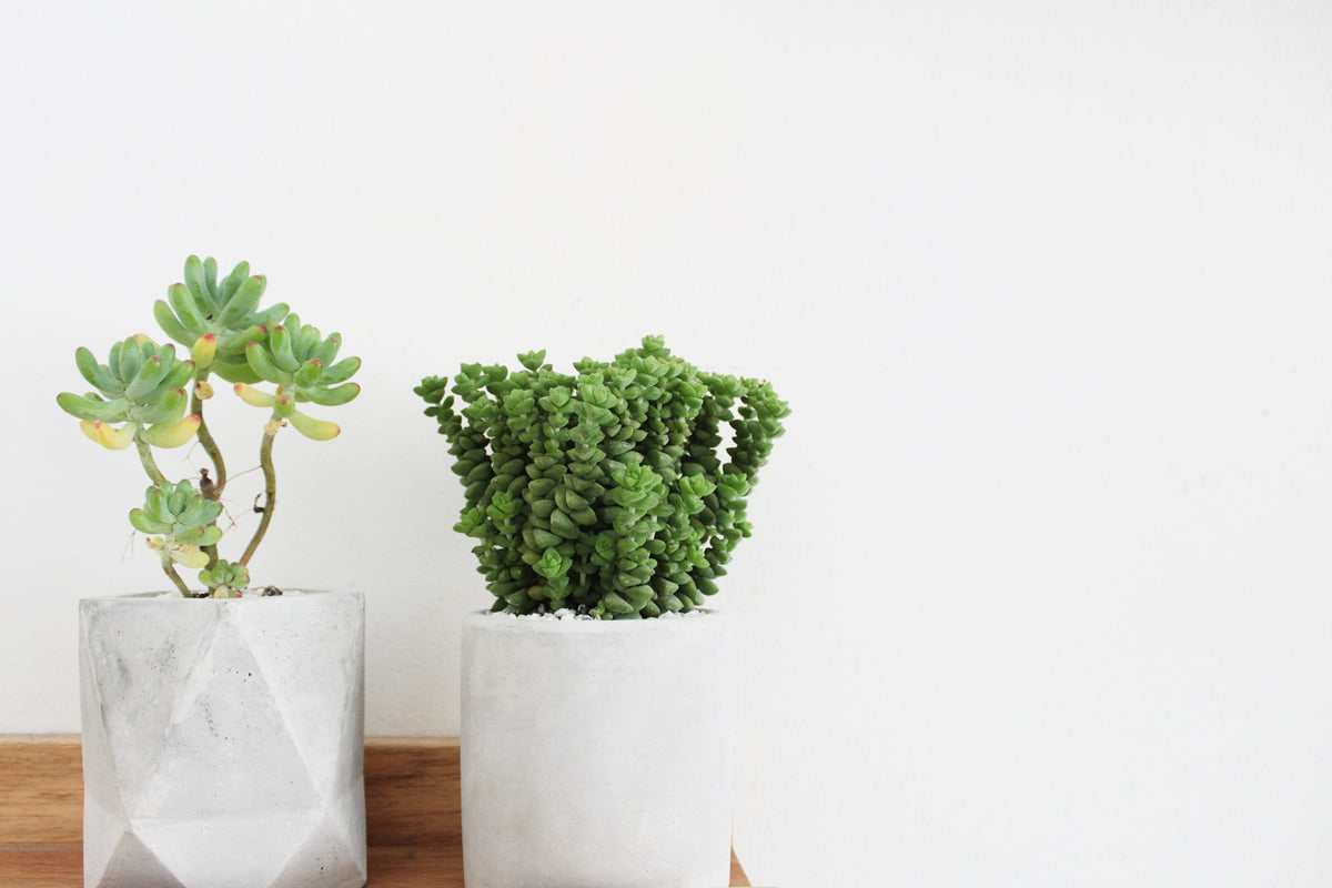 modern geometric pot