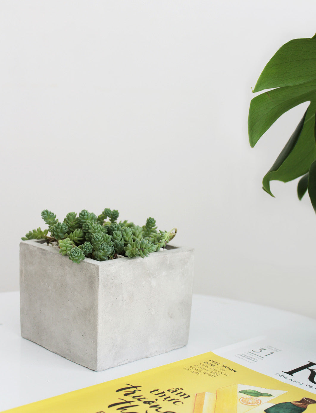 square concrete pot for sale