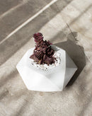 concrete pot for succulent