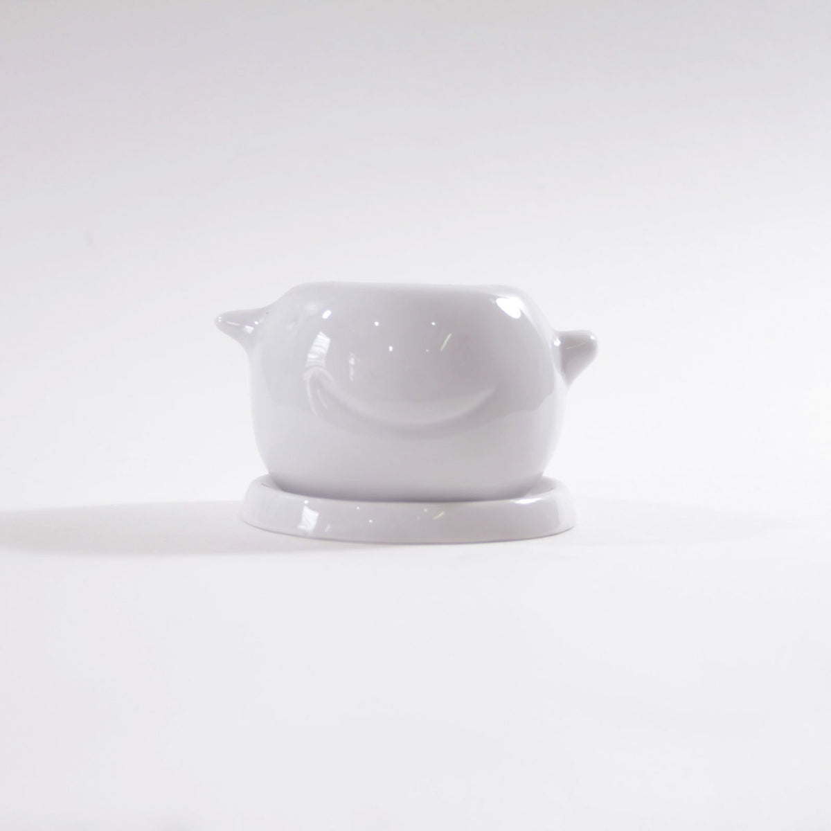 succulent decor, garden gift, succulent planter