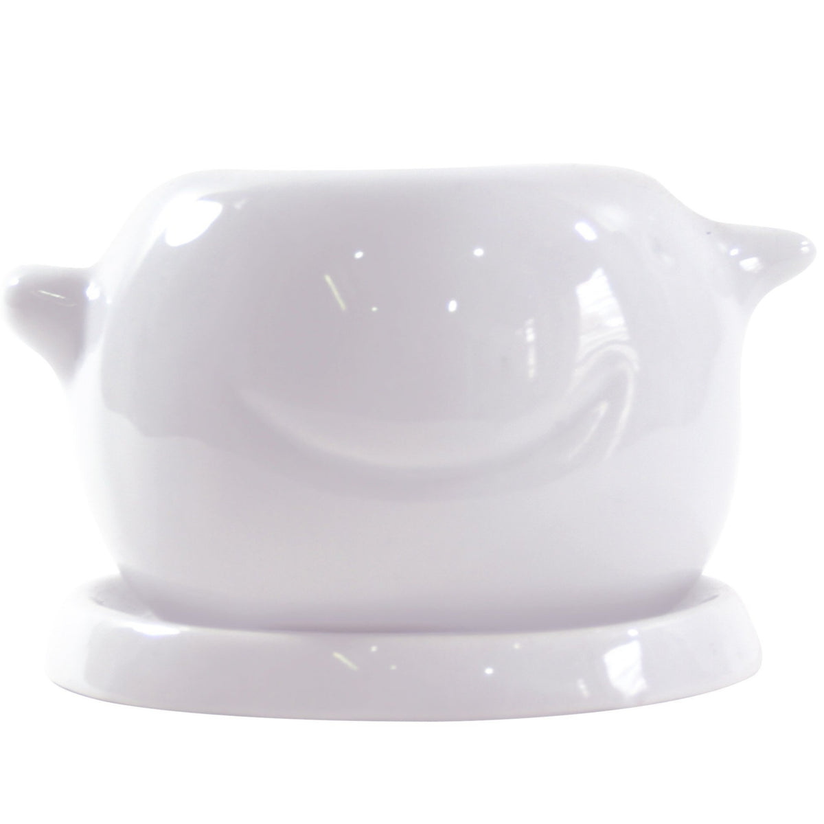 chic pot, succulent pot