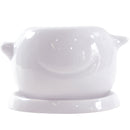 Choose the right pot material for your succulents