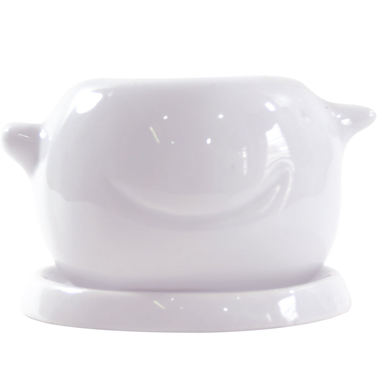 chic pot, succulent pot