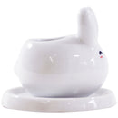 Choose the right pot material for your succulents