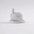 Choose the right pot material for your succulents