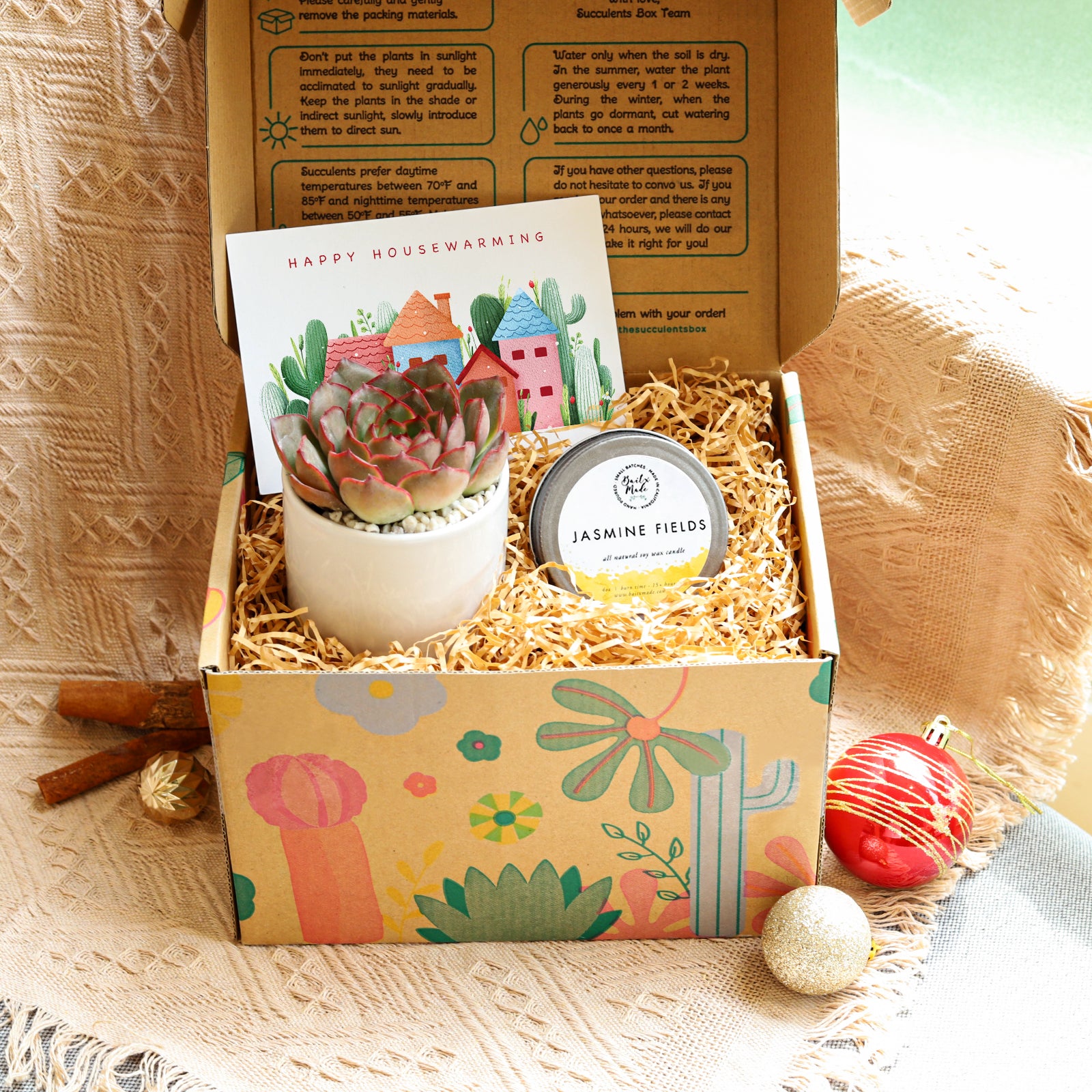thank you succulent gift box Thank You Succulent Gift Box | Unique Gift Ideas for Mother's Day, Father's Day