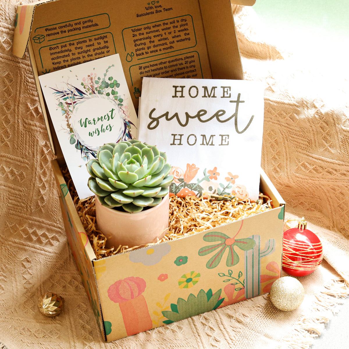 Gift box with succulents, housewarming gift box delivery, housewarming gift box ideas
