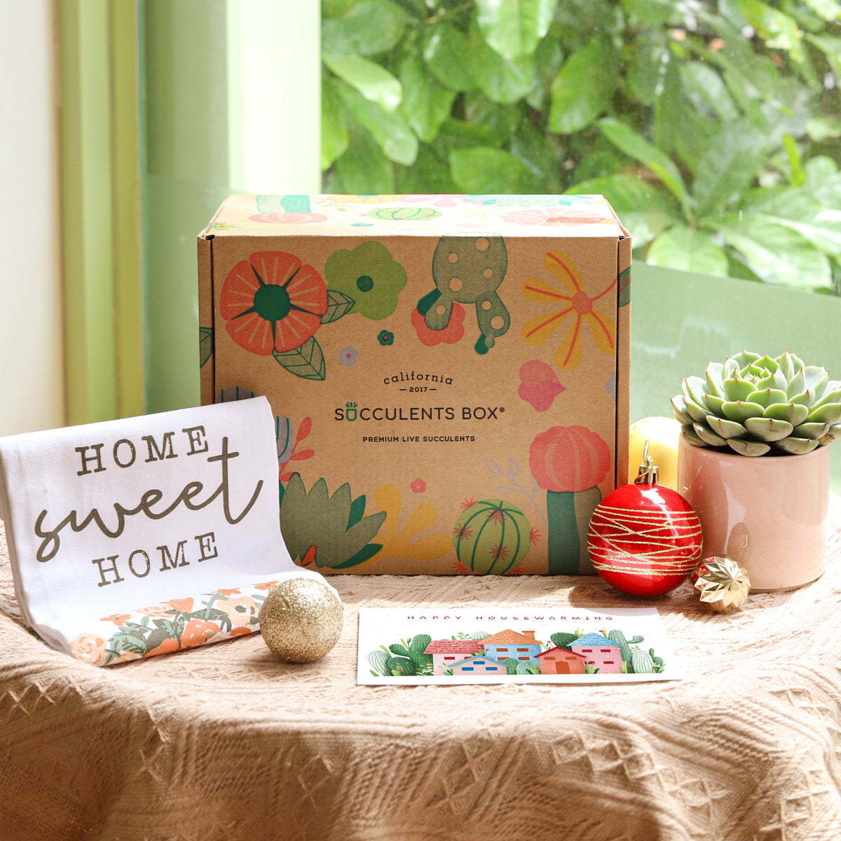 Housewarming Gift Box, Housewarming Gift Box for sale, Succulents Housewarming Gift Box, Succulents Holiday Gift box