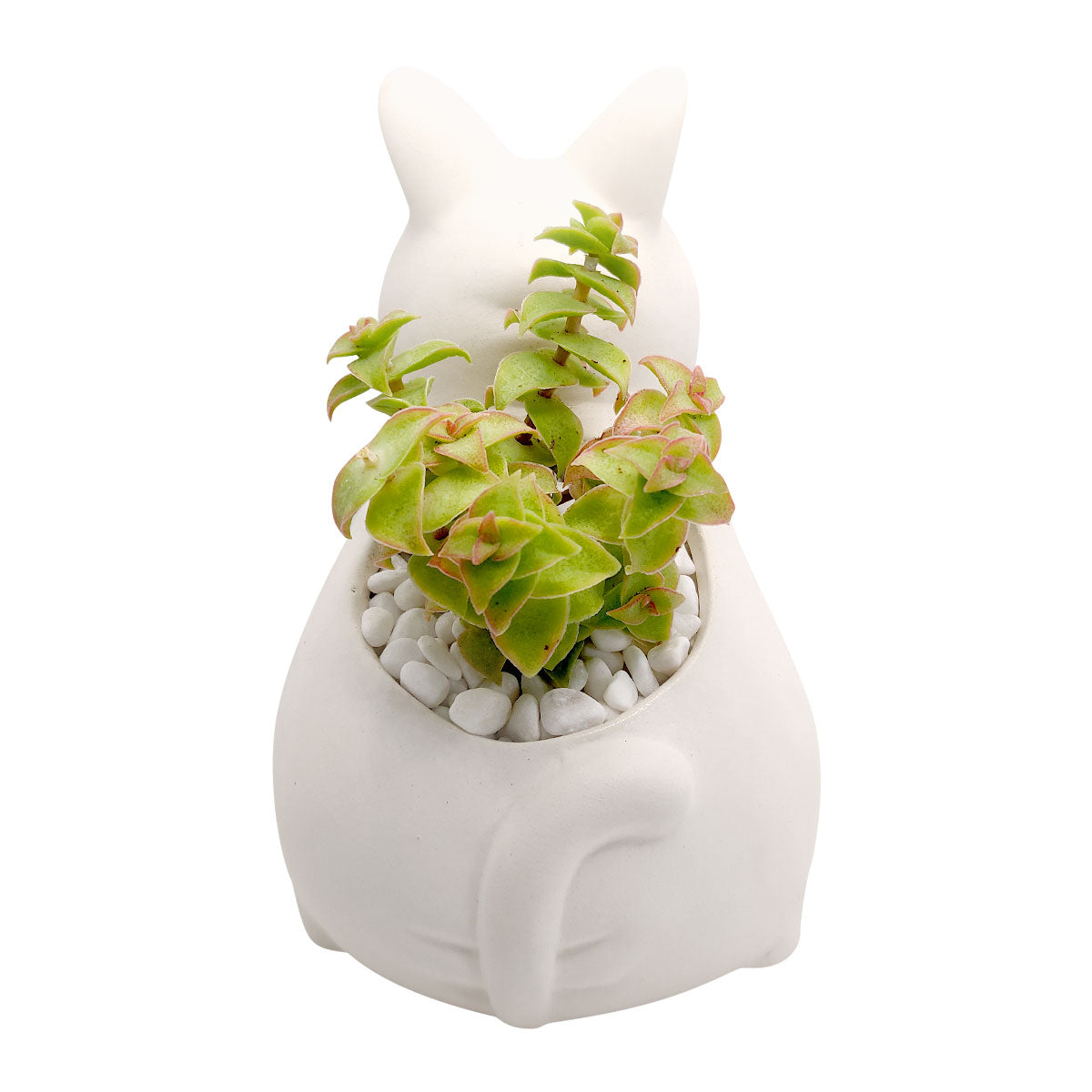DIY Ceramic Kitty Pot for sale, White Ceramic Cat Planter Pot, Unique Succulent Gift, craft supplies, cat shaped planter pot, succulent pot plant pot DIY pot