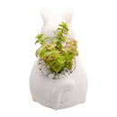 DIY Ceramic Kitty Pot for sale, White Ceramic Cat Planter Pot, Unique Succulent Gift, craft supplies, cat shaped planter pot, succulent pot plant pot DIY pot