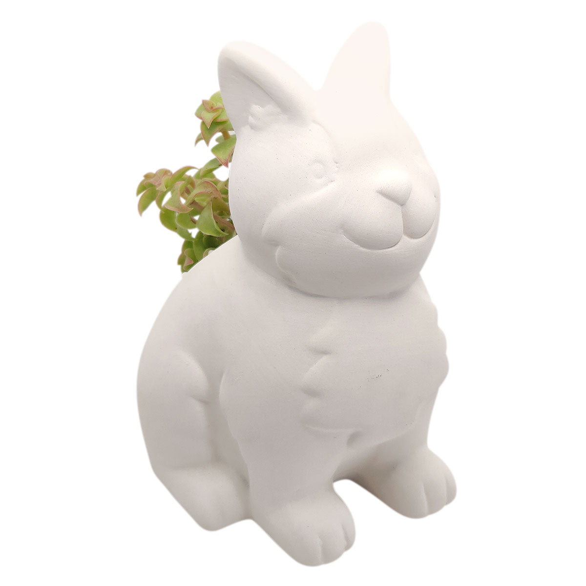 DIY Ceramic Kitty Pot for sale, White Ceramic Cat Planter Pot, Unique Succulent Gift, craft supplies, cat shaped planter pot, succulent pot plant pot DIY pot