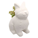 DIY Ceramic Kitty Pot for sale, White Ceramic Cat Planter Pot, Unique Succulent Gift, craft supplies, cat shaped planter pot, succulent pot plant pot DIY pot