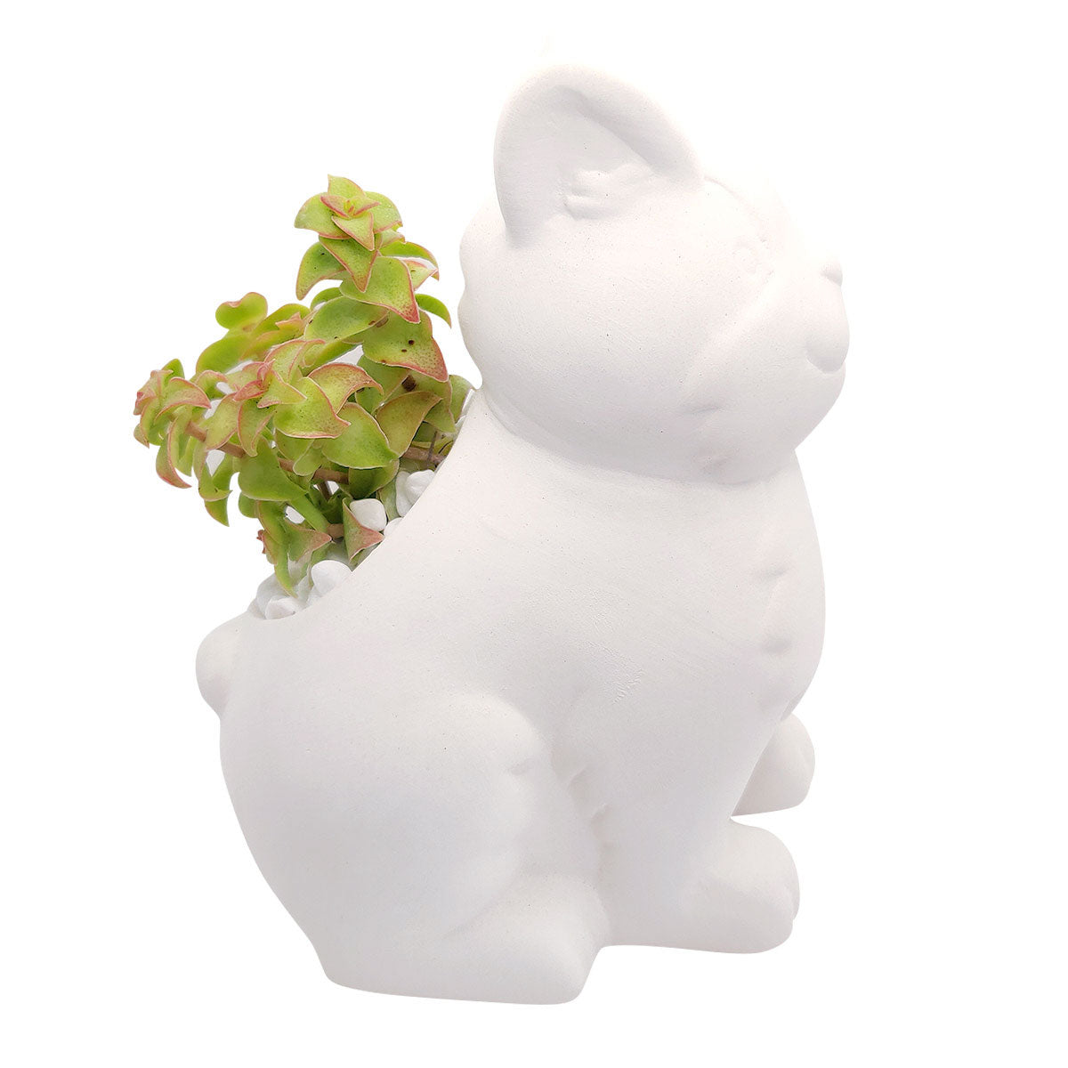 DIY Ceramic Kitty Pot for sale, White Ceramic Cat Planter Pot, Unique Succulent Gift, craft supplies, cat shaped planter pot, succulent pot plant pot DIY pot