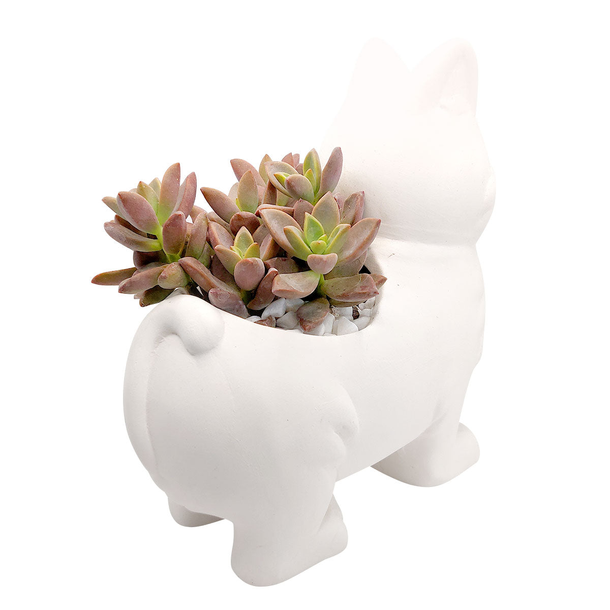 DIY Ceramic Kitty Pot for sale, White Ceramic Dog Planter Pot, Unique Succulent Gift, craft supplies, dog shaped planter pot, succulent pot plant pot DIY pot