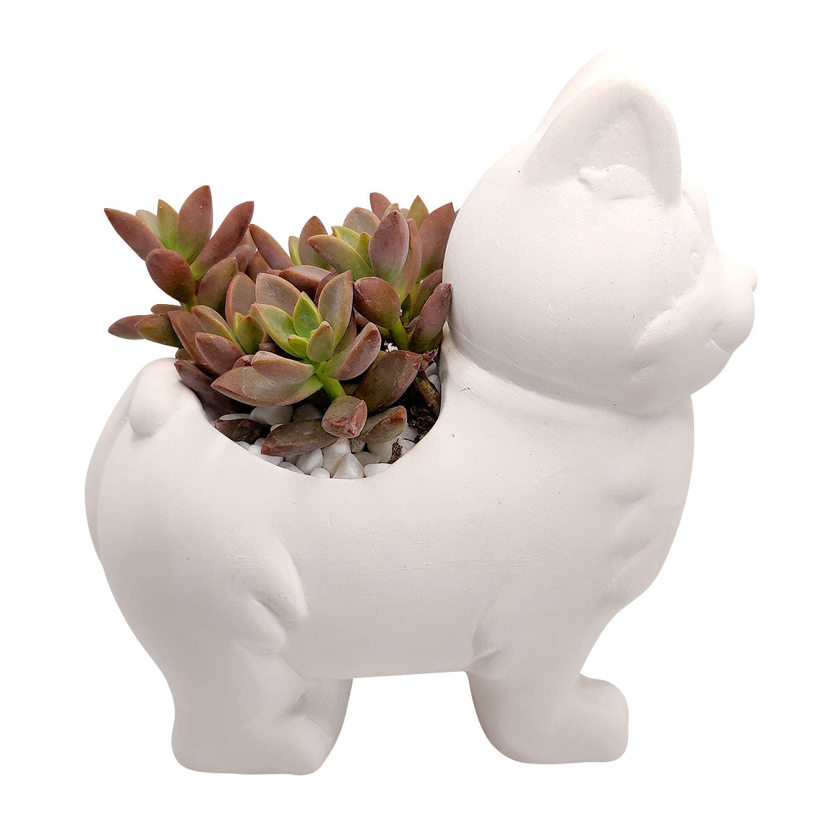DIY Ceramic Kitty Pot for sale, White Ceramic Dog Planter Pot, Unique Succulent Gift, craft supplies, dog shaped planter pot, succulent pot plant pot DIY pot