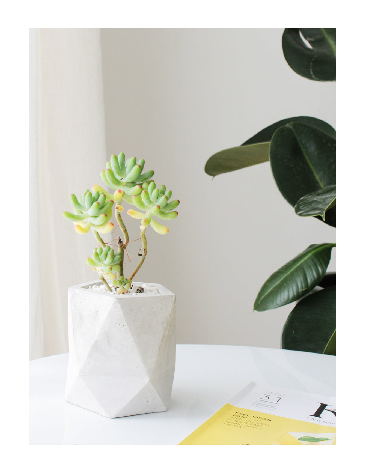 Greeting Card for sale