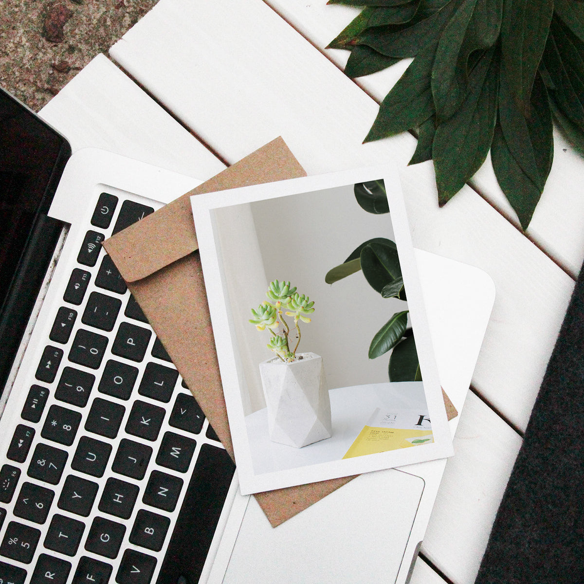 Succulents Card for sale