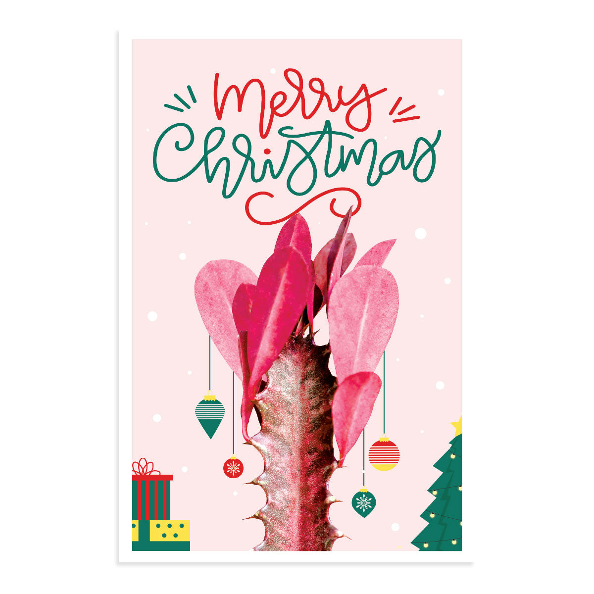 Christmas Cards 2021, Holiday Cards, Personalized Christmas cards 2021, Unique Christmas Cards by Succulents Box, The best places to buy holiday cards online in 2021, Christmas Succulents, Christmas Succulent Plants, Succulents for Christmas Ideas in 2021, Succulent Christmas Decorations, Succulent Christmas Gift Ideas, Christmas Gift Ideas for Succulent Lovers, Holiday Succulent Planter, Holiday Decorating with Succulents