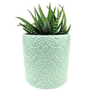 Mint Deco Planter