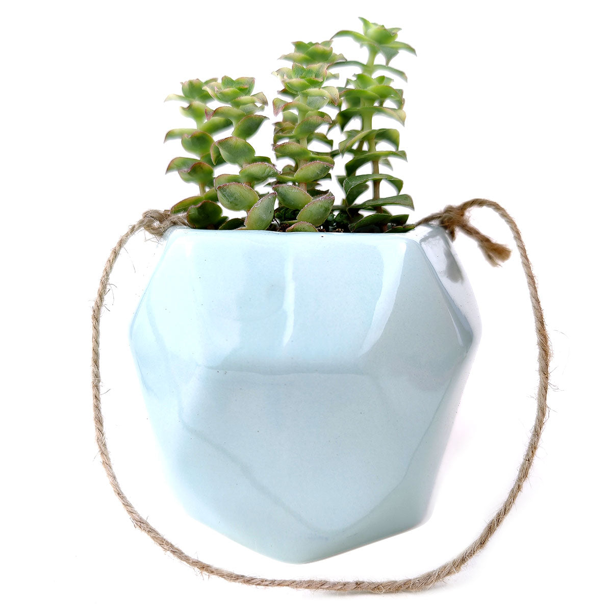 Mint Hanging Hexagon Planter