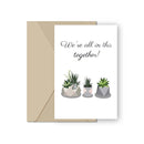 Succulents Gift Box with care instruction, succulents for gift decor ideas, Succulents corporate gift box for sale