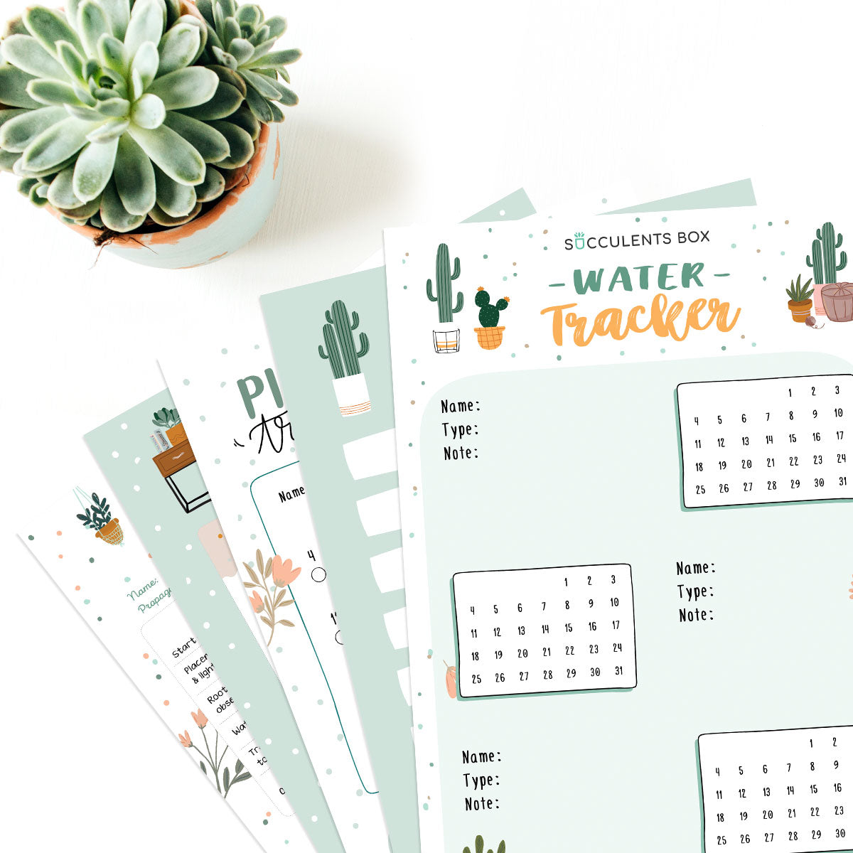 Printable Succulent Bullet Journal for free, Succulent gift for plant lovers, Printable for Journal or Planner, Succulent home office decor, Succulent printable template
