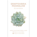 Echeveria Succulent ID Cards