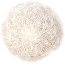 Espostoa lanata for sale, succulents shop in California, succulent care, succulent plant, Succulents shop near me, indoor succulents, succulent subscription, Succulents, how to grow succulents, Espostoa lanata in California, How to grow Espostoa lanata, cactus, cactus succulent, succulent cactus, cacti, cactus and succulents, succulents box, succulent shop, buy succulents online