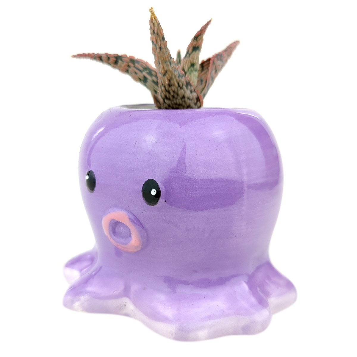 Octopus Pot Pot for sale, Cute Ceramic Succulent Pot, Octopus Pot Decor, Craft Supplies, Succulent Gift Ideas, Octopus Succulent Pot