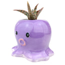 Octopus Pot Pot for sale, Cute Ceramic Succulent Pot, Octopus Pot Decor, Craft Supplies, Succulent Gift Ideas, Octopus Succulent Pot